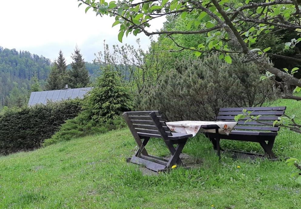 Vila Fleurs De Myto Mýto pod Ďumbierom Exteriér fotografie