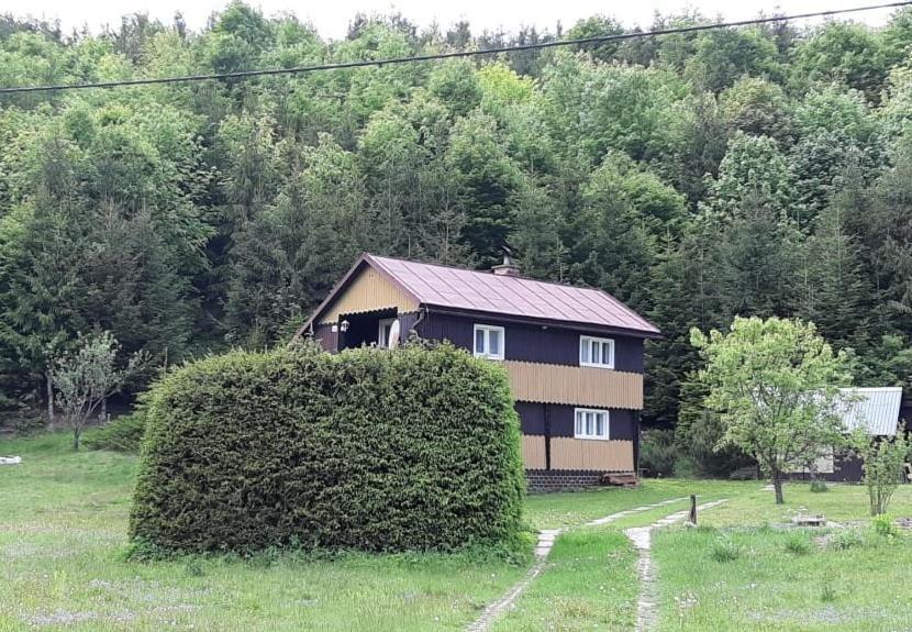 Vila Fleurs De Myto Mýto pod Ďumbierom Exteriér fotografie